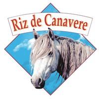 logo_benoit_riz
